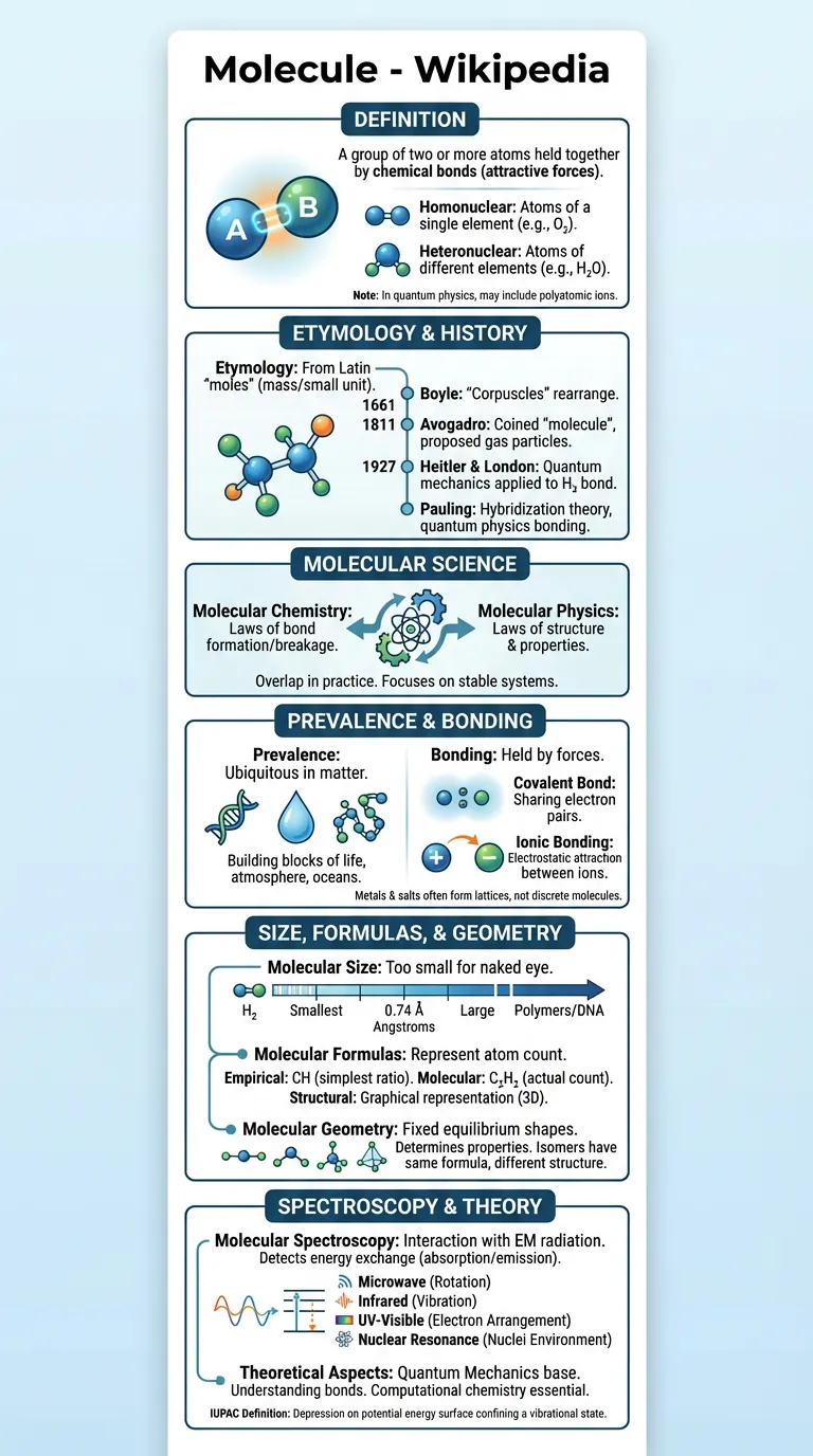 Chemistry molecules infographic — organic chemistry visual study guide