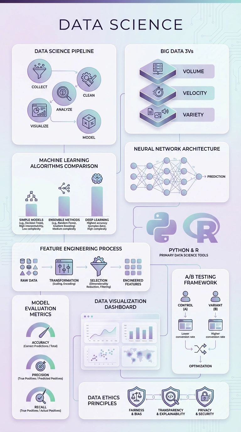 Data Science Infographic